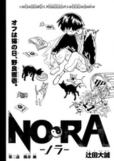 Нора